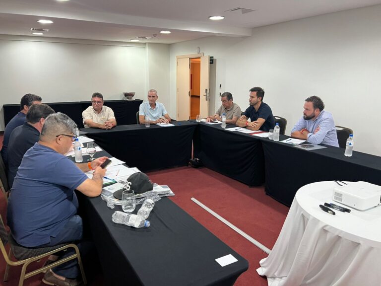 A reunião no último domingo em Araxá, que contou com a presença das principais lideranças da legenda, teve como pauta principal essa articulação