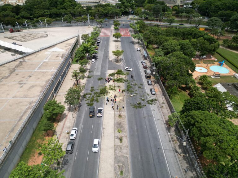 Na avaliação da equipe da deputada, a prefeitura necessitaria de uma nova autorização do Comam para suprimir as árvores que podem ser plantadas no sábado