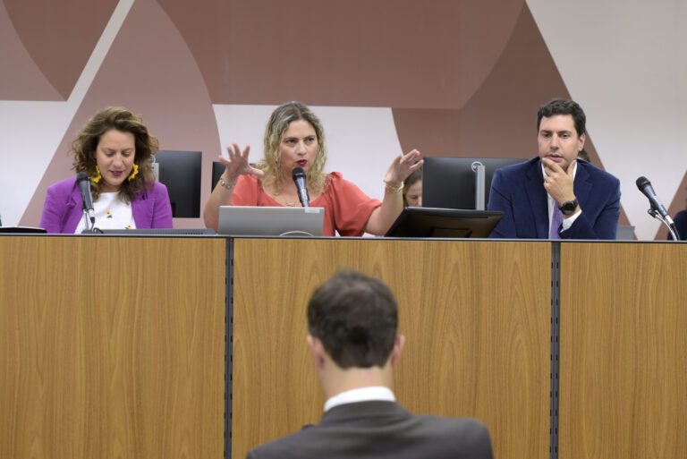 A Comissão de Administração Pública debateu a regulamentação da caução ambiental pelo Executivo