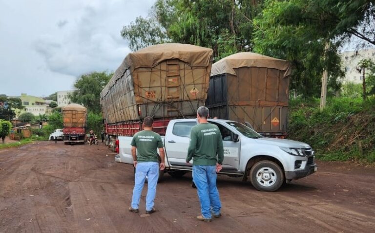 Fiscais da Secretaria de Estado de Meio Ambiente e Desenvolvimento Sustentável (Semad) durante ação de combate ao desmatamento e à cadeia de comércio ilegal de carvão em Minas