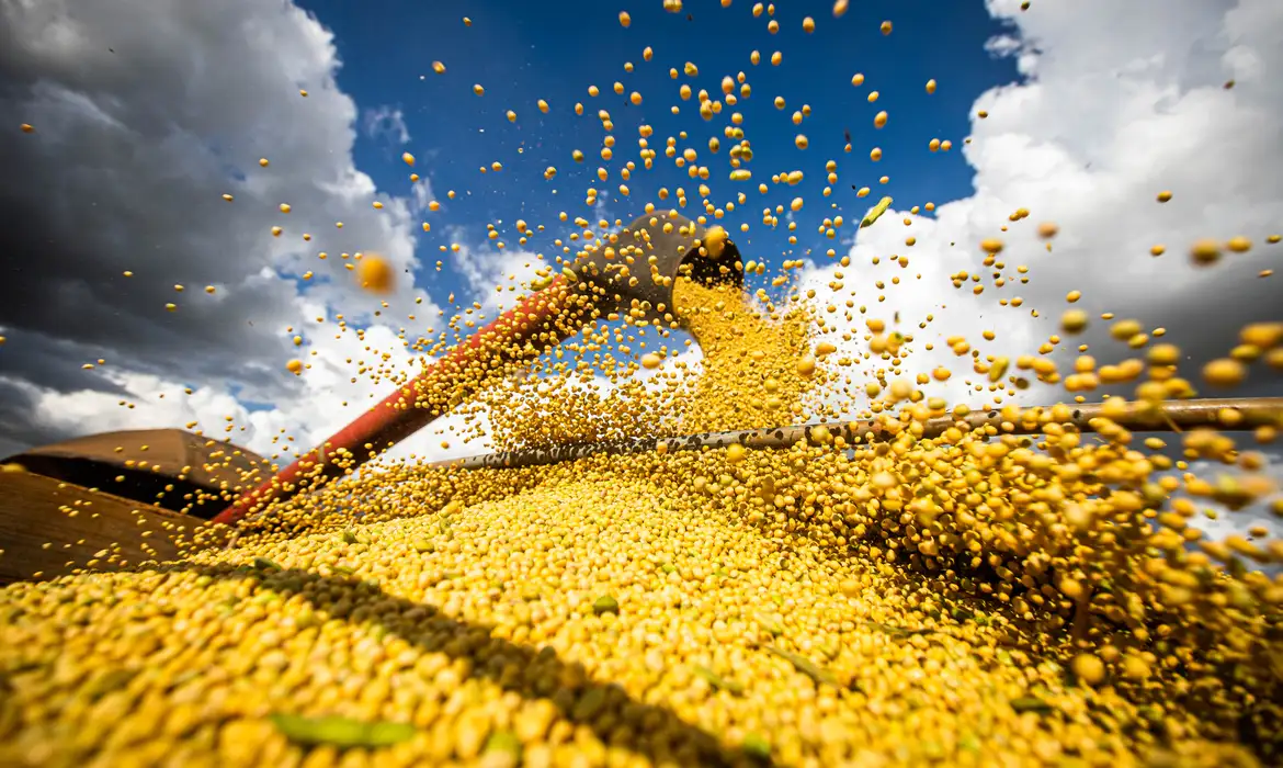 Crescimento foi impulsionado principalmente pelas safras de soja, milho e arroz. Foto: CNA/Divulgação