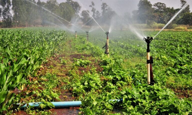 Área agrícola irrigada