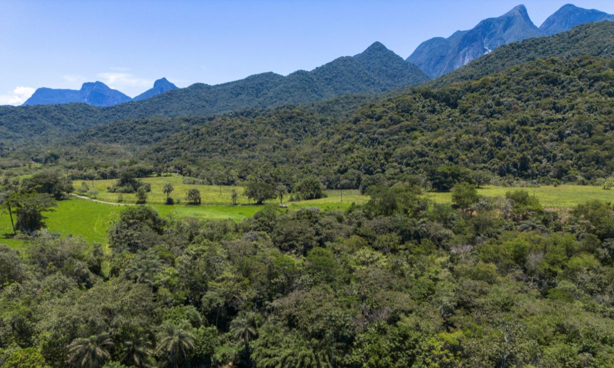 Mata Atlântica