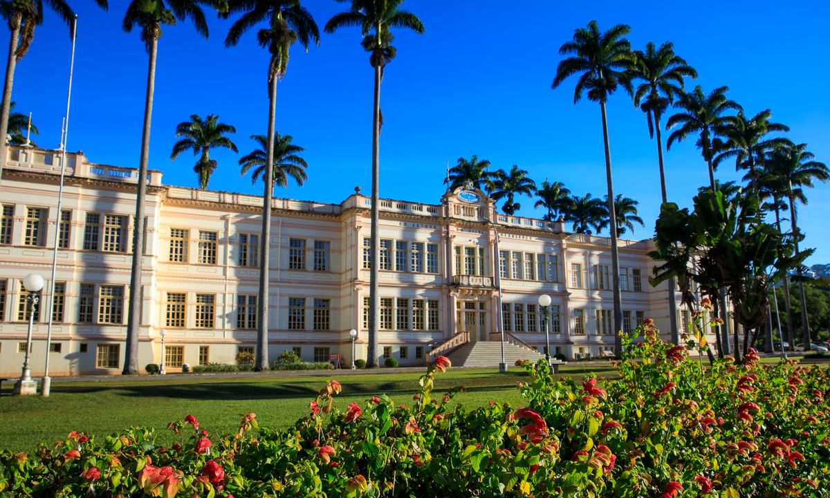 Universidade Federal de Viçosa (UFV)